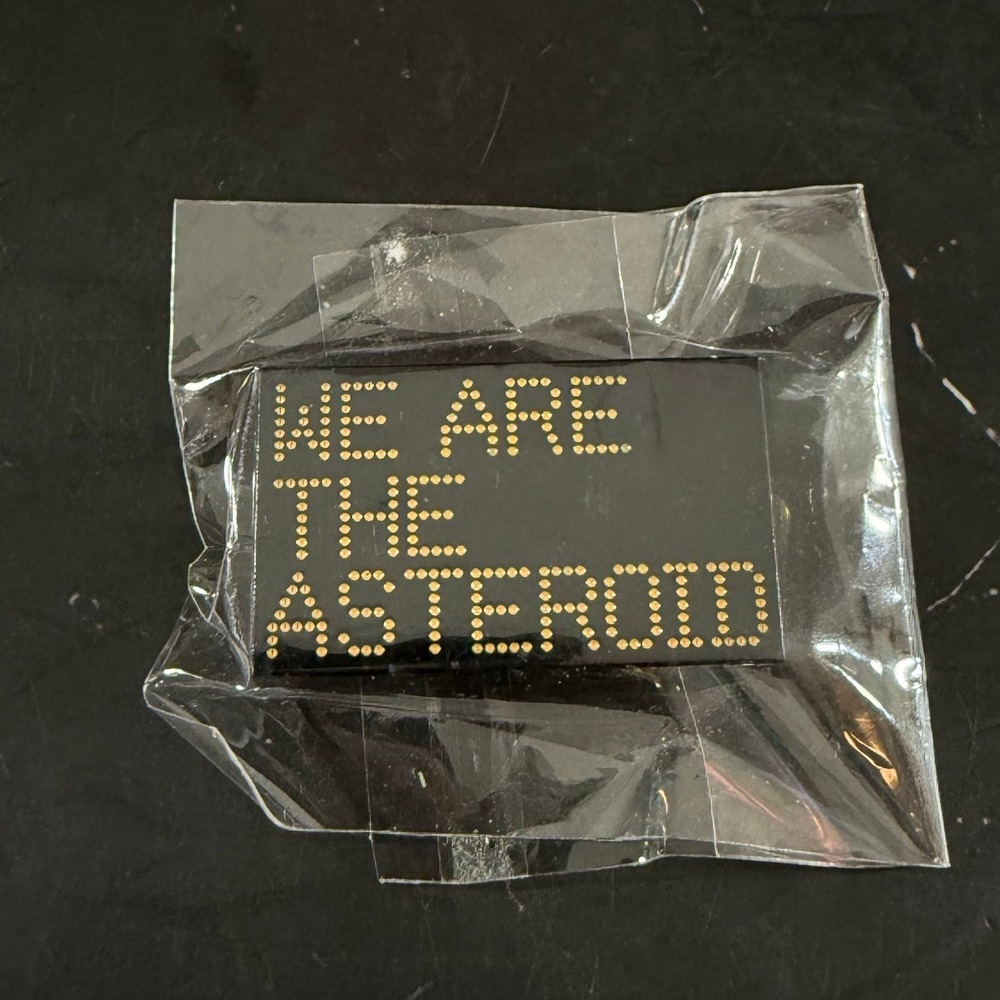 New "WE ARE THE ASTEROID" Storm King Art Lapel Pin 1.25in X .75in